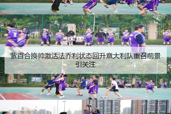 紫百合换帅激活法乔利状态回升意大利队重召前景引关注